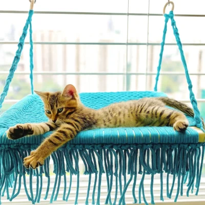 Macrame Window Mounted Perch